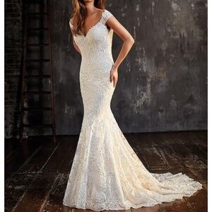 Wedding dress and veil